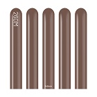 【新260M】 ｽﾀﾝﾀﾞｰﾄﾞ ﾁｮｺﾚｰﾄﾌﾞﾗｳﾝ