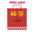 【E01】福袋　ｴﾐﾘｰｽﾞｾﾚｸﾄ　5000円