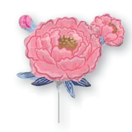 50005<MS.サテン ピオニ ーガーデン>