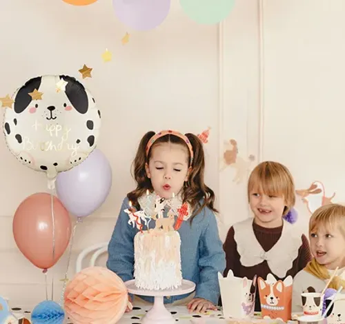 18ｲﾝﾁ ﾊｯﾋﾟｰﾊﾞｰｽﾃﾞｰ ﾄﾞｯｸﾞ