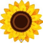 【29ｲﾝﾁ】ｵｰﾀﾑｻﾝﾌﾗﾜｰ