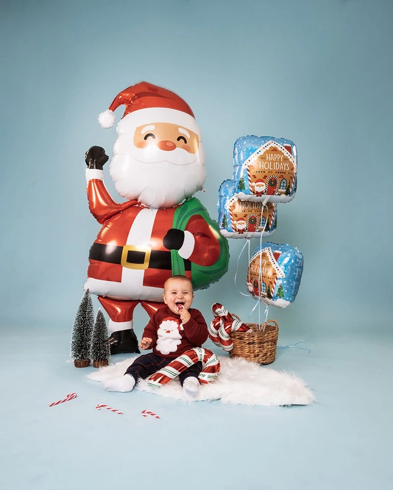 【ﾗｰｼﾞ】ｽﾍﾟｼｬﾙ ﾃﾞﾘﾊﾞﾘｰ ｻﾝﾀ 25147-P