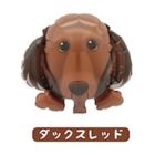 ミニワンコバルーンダックスレッド