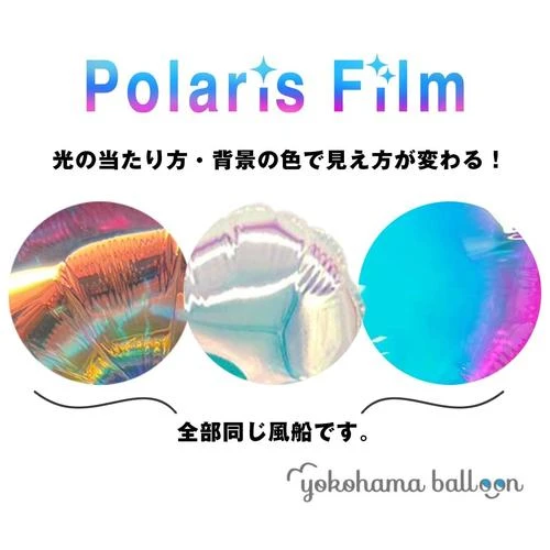 【ﾗｰｼﾞ】ﾎﾟﾗﾘｽﾌｨﾙﾑ ﾊﾞﾀﾌﾗｲ(ﾌﾞﾙｰ)